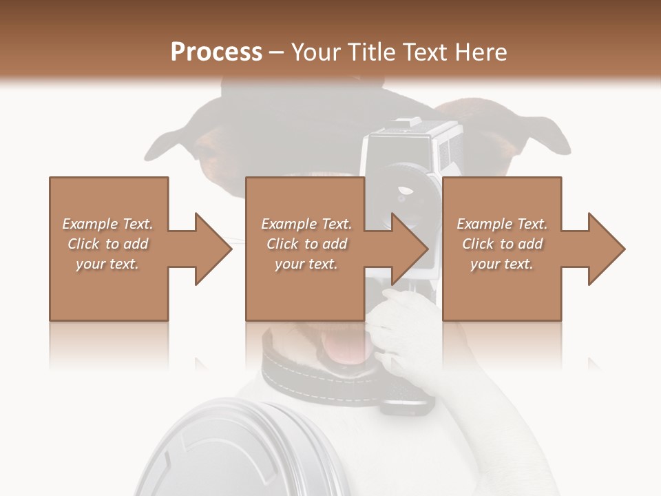 Show Photography Vision PowerPoint Template