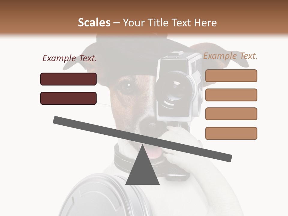 Show Photography Vision PowerPoint Template