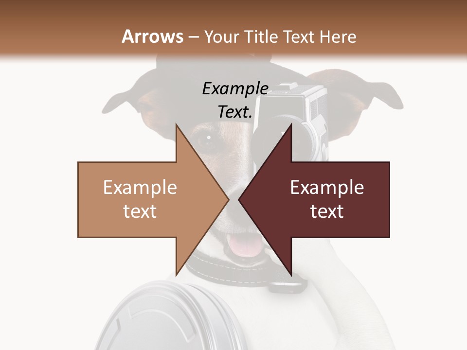 Show Photography Vision PowerPoint Template