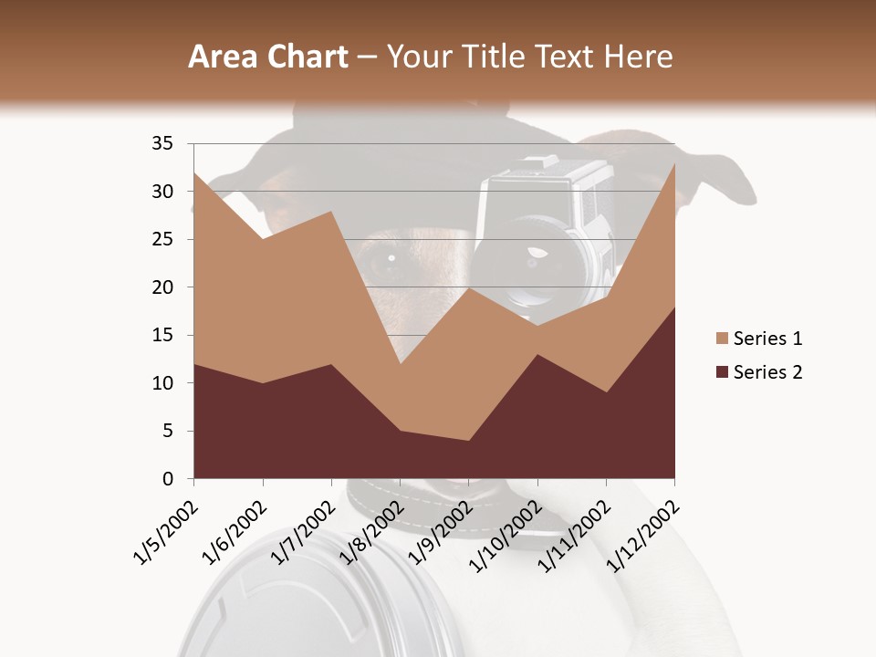 Show Photography Vision PowerPoint Template
