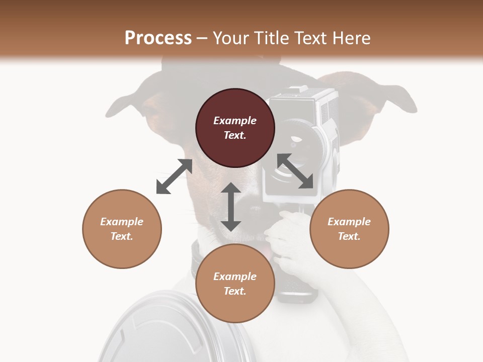 Show Photography Vision PowerPoint Template