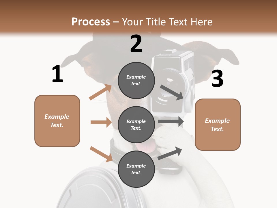 Show Photography Vision PowerPoint Template