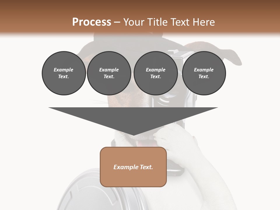 Show Photography Vision PowerPoint Template
