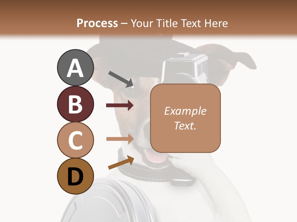 Show Photography Vision PowerPoint Template