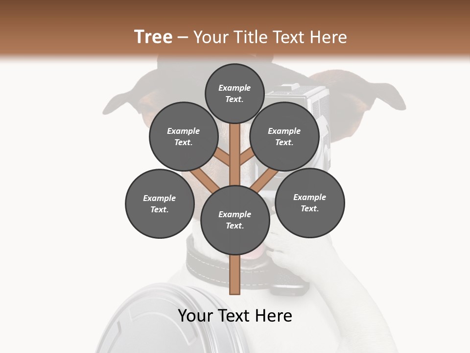 Show Photography Vision PowerPoint Template