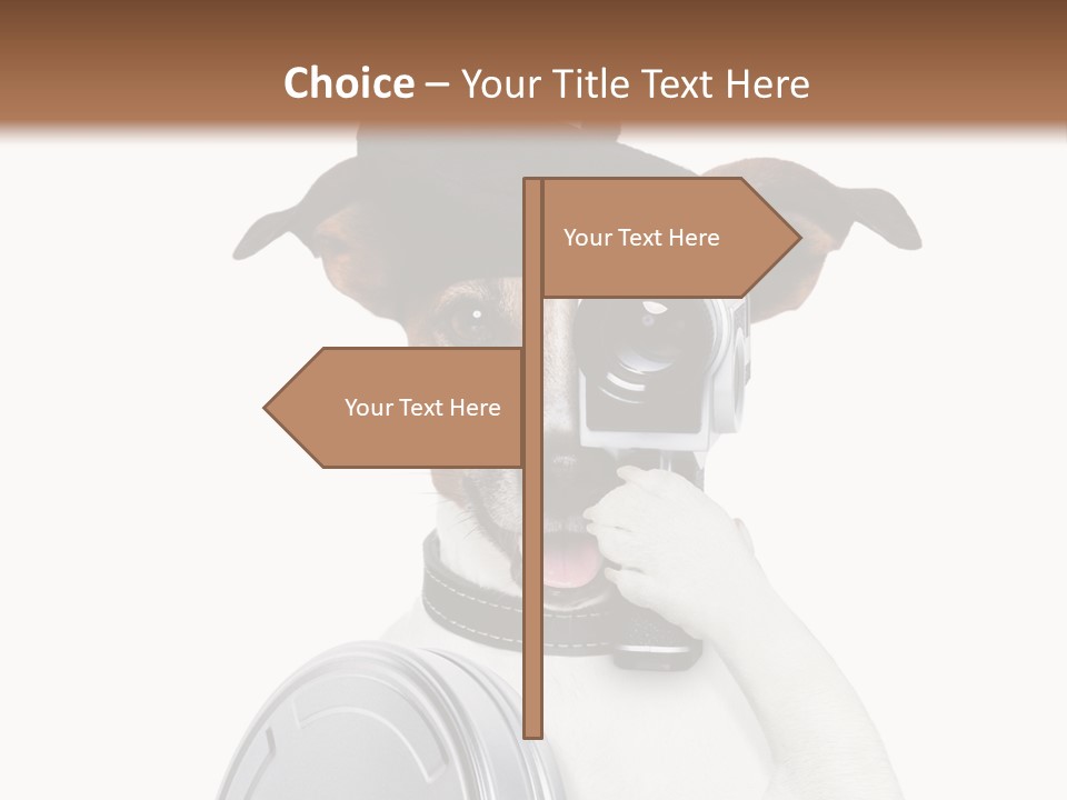 Show Photography Vision PowerPoint Template