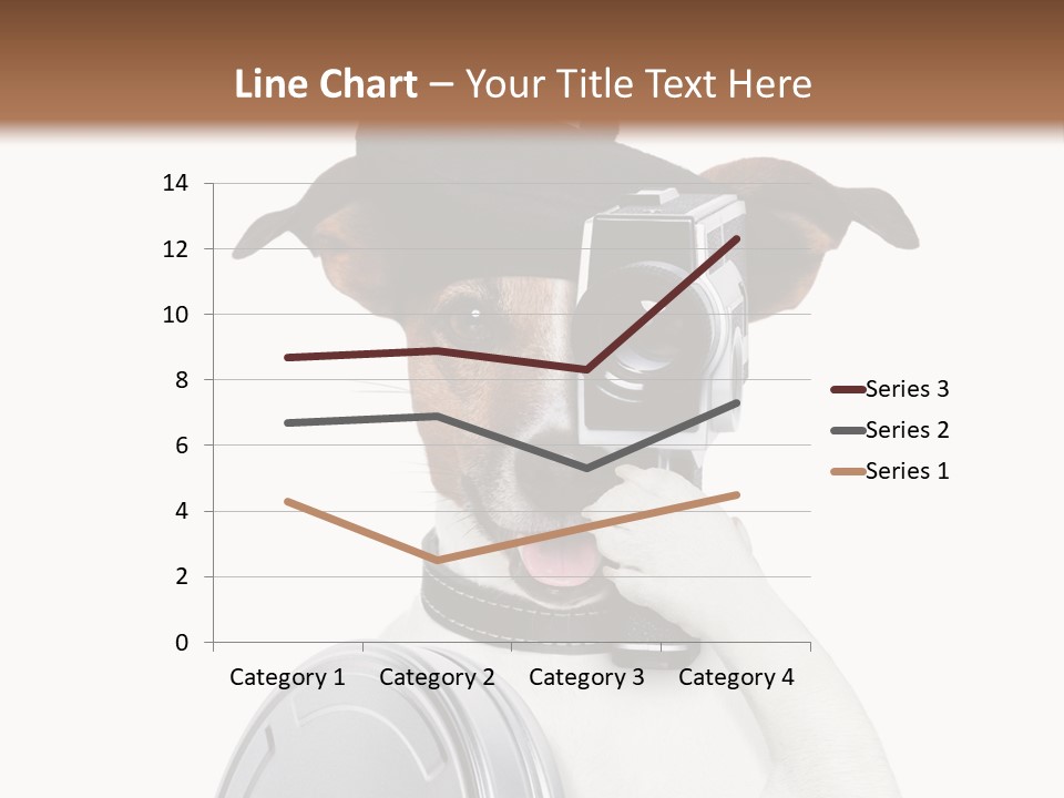 Show Photography Vision PowerPoint Template
