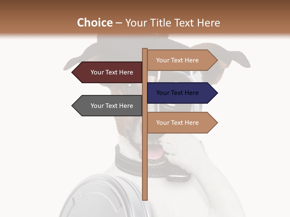 Show Photography Vision PowerPoint Template