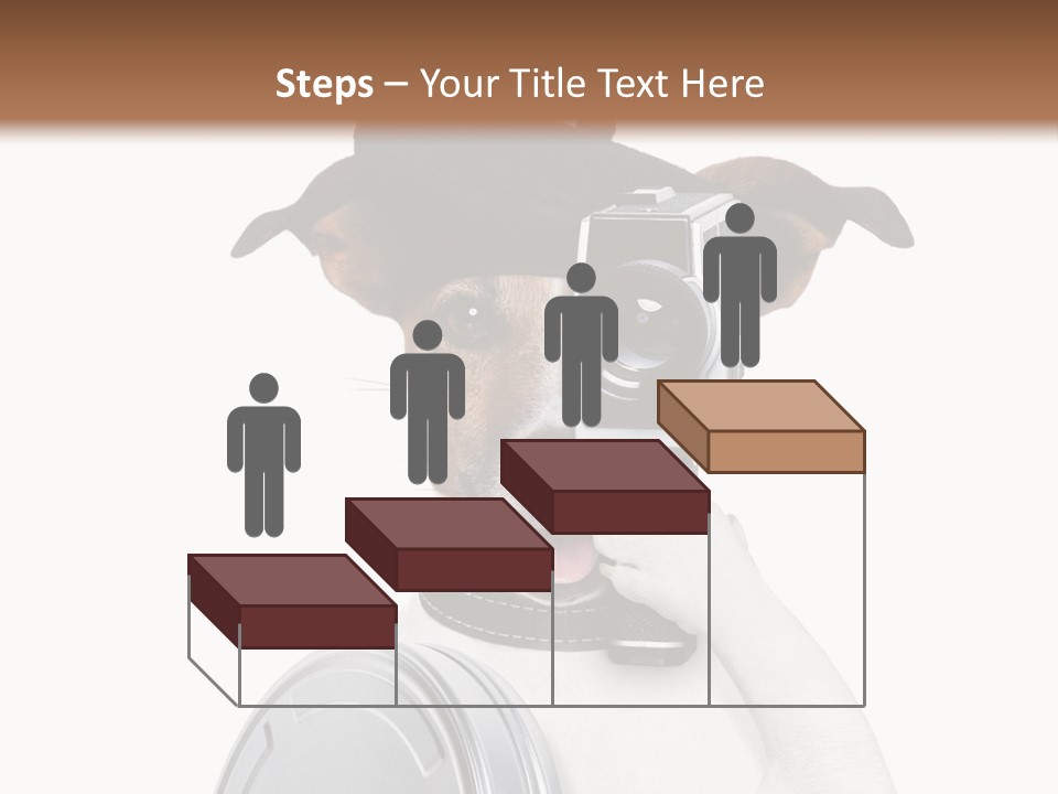 Show Photography Vision PowerPoint Template