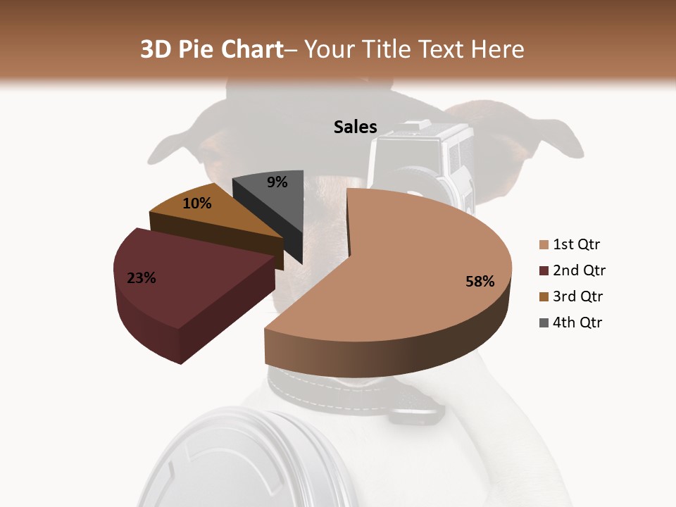 Show Photography Vision PowerPoint Template
