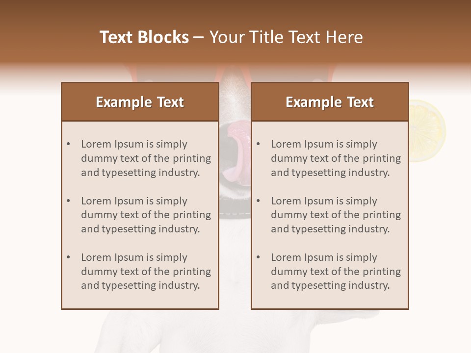 Lick Vacation Taste PowerPoint Template