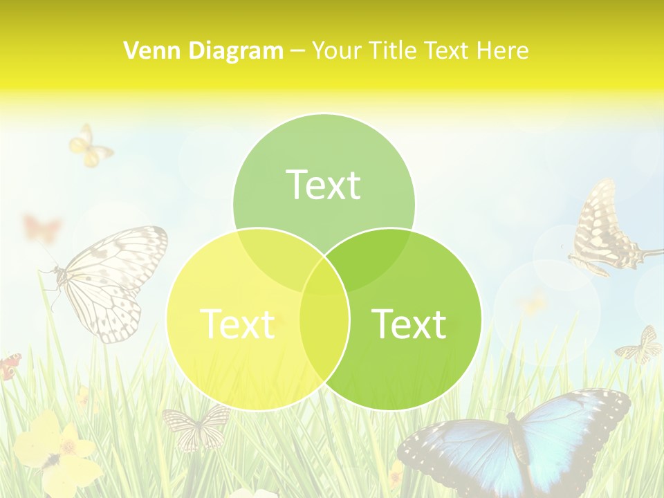 Beautiful Flora Pure PowerPoint Template