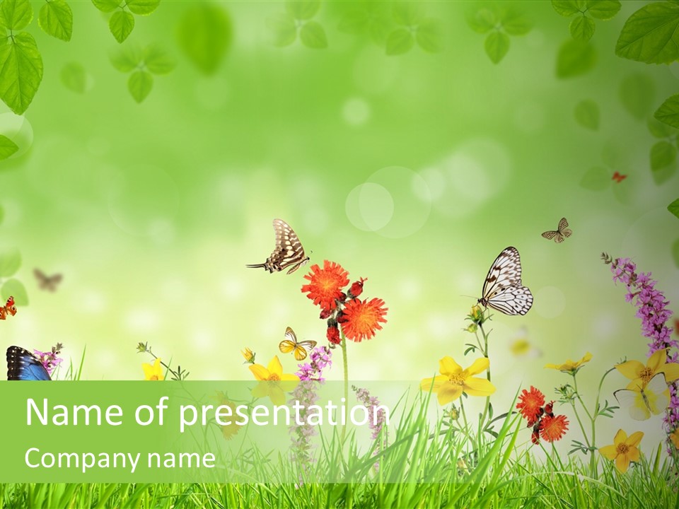 Style Environmental Conservation PowerPoint Template