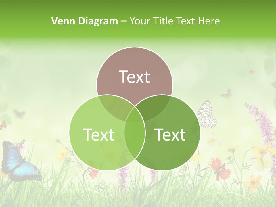 Style Environmental Conservation PowerPoint Template