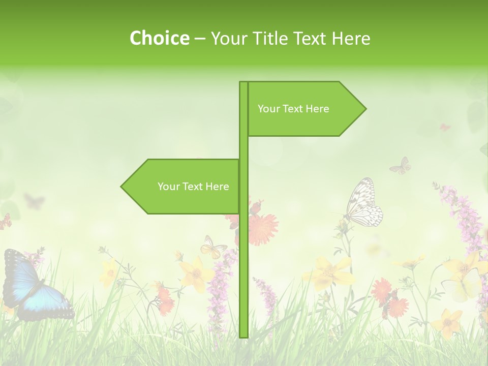 Style Environmental Conservation PowerPoint Template