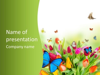 March Animal April Beauty Bloom Blossom Blur Bouquet Butterfly Butterfly PowerPoint Template