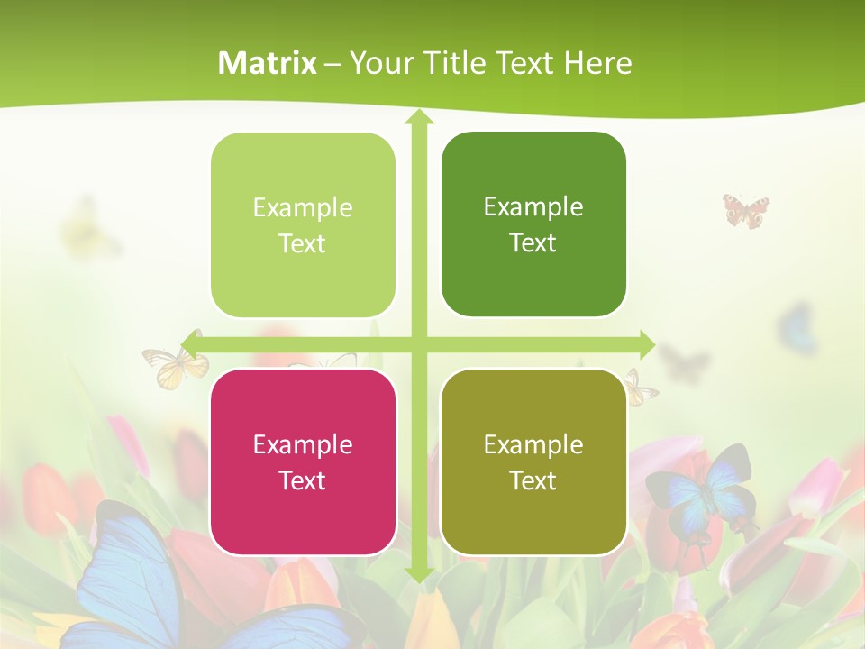 March Animal April Beauty Bloom Blossom Blur Bouquet Butterfly Butterfly PowerPoint Template