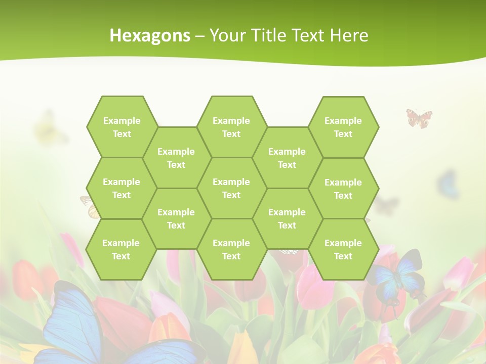 March Animal April Beauty Bloom Blossom Blur Bouquet Butterfly Butterfly PowerPoint Template