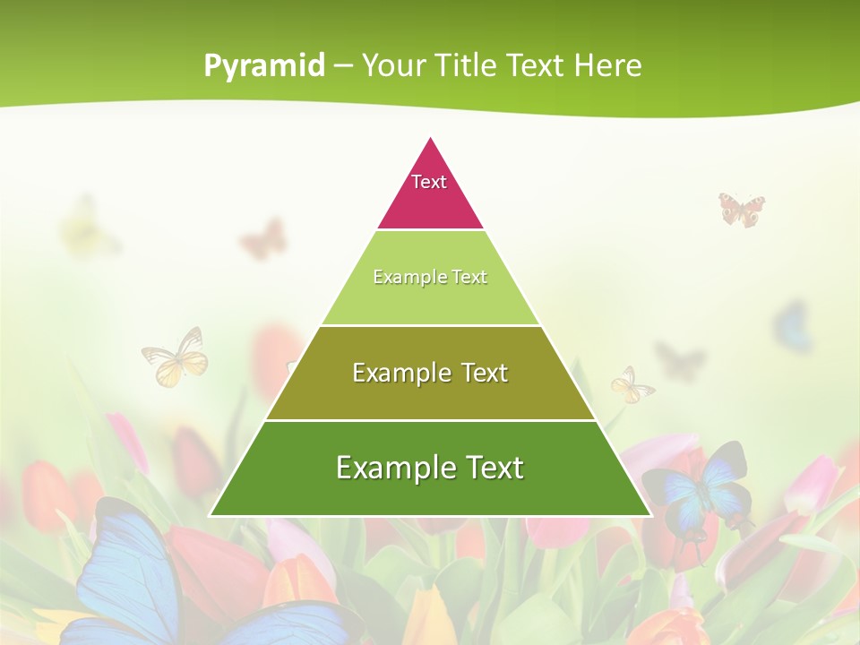 March Animal April Beauty Bloom Blossom Blur Bouquet Butterfly Butterfly PowerPoint Template