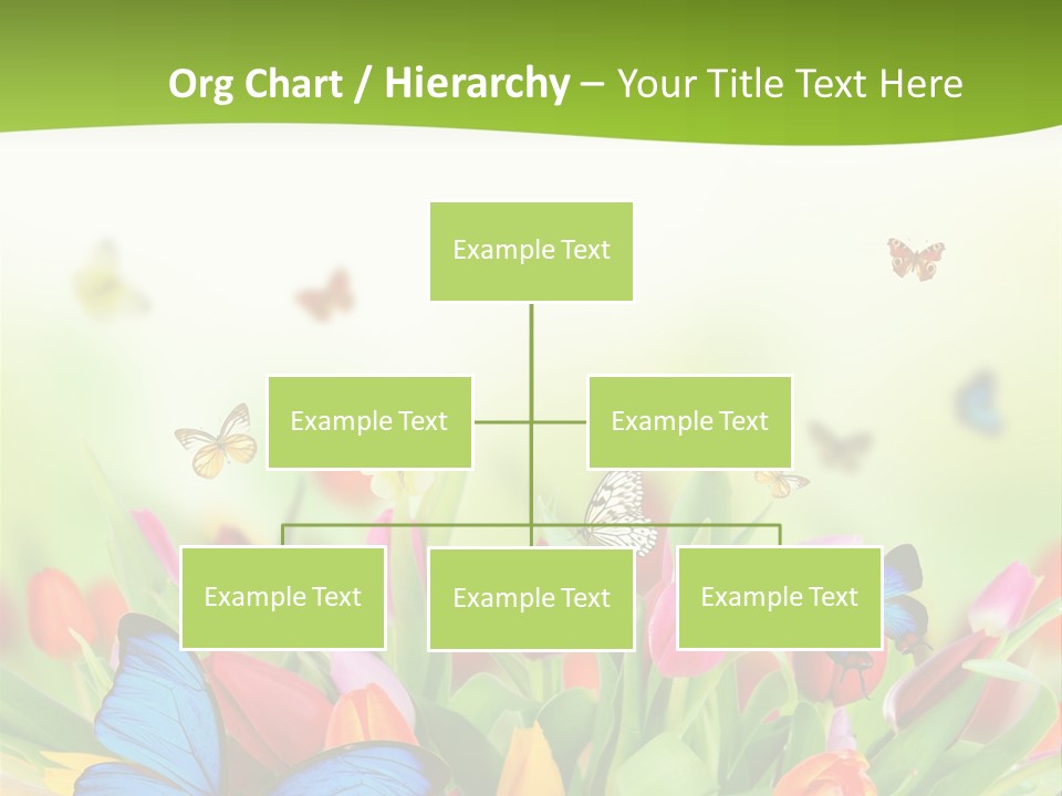 March Animal April Beauty Bloom Blossom Blur Bouquet Butterfly Butterfly PowerPoint Template