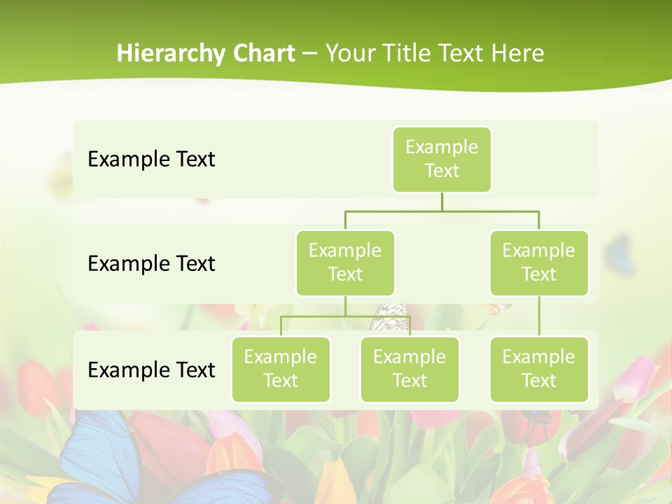 March Animal April Beauty Bloom Blossom Blur Bouquet Butterfly Butterfly PowerPoint Template