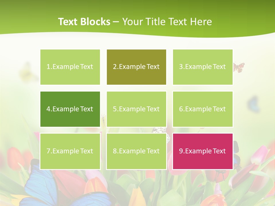 March Animal April Beauty Bloom Blossom Blur Bouquet Butterfly Butterfly PowerPoint Template