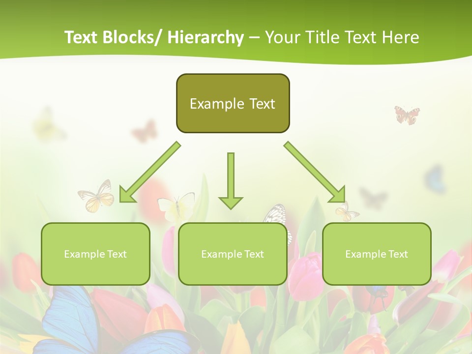 March Animal April Beauty Bloom Blossom Blur Bouquet Butterfly Butterfly PowerPoint Template