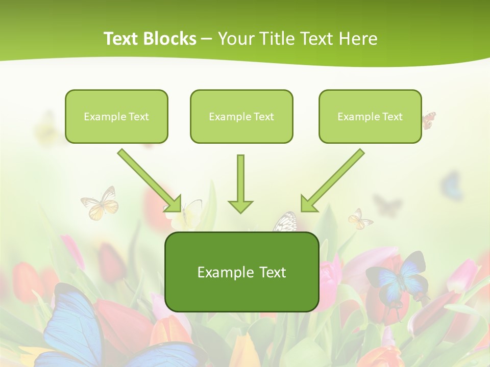 March Animal April Beauty Bloom Blossom Blur Bouquet Butterfly Butterfly PowerPoint Template