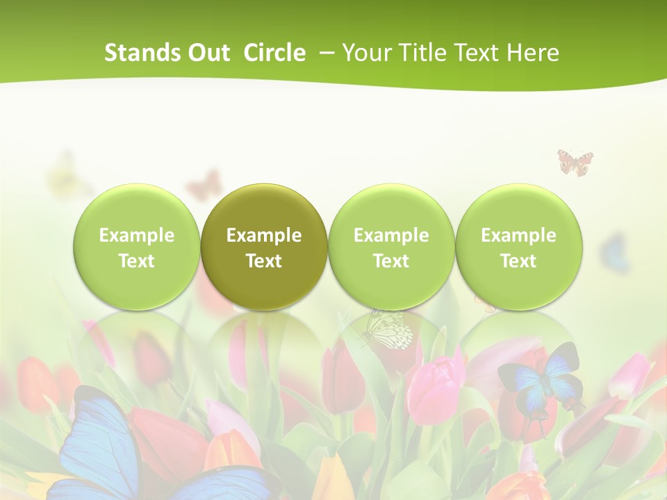 March Animal April Beauty Bloom Blossom Blur Bouquet Butterfly Butterfly PowerPoint Template