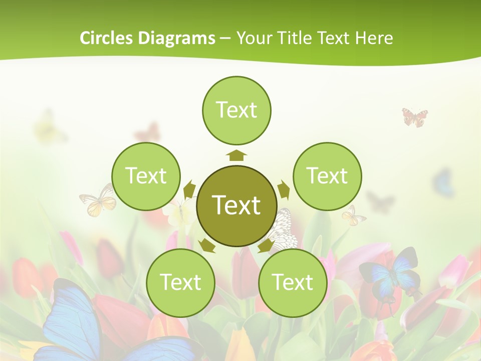 March Animal April Beauty Bloom Blossom Blur Bouquet Butterfly Butterfly PowerPoint Template