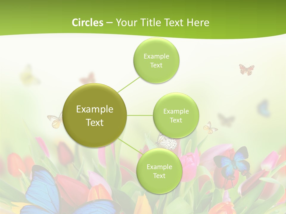 March Animal April Beauty Bloom Blossom Blur Bouquet Butterfly Butterfly PowerPoint Template