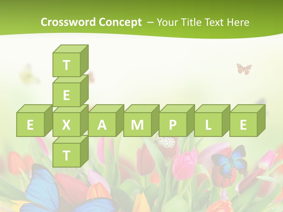 March Animal April Beauty Bloom Blossom Blur Bouquet Butterfly Butterfly PowerPoint Template