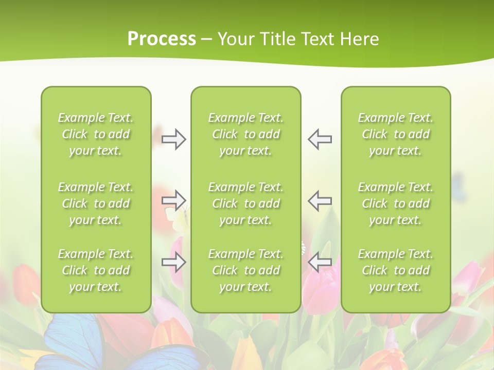 March Animal April Beauty Bloom Blossom Blur Bouquet Butterfly Butterfly PowerPoint Template