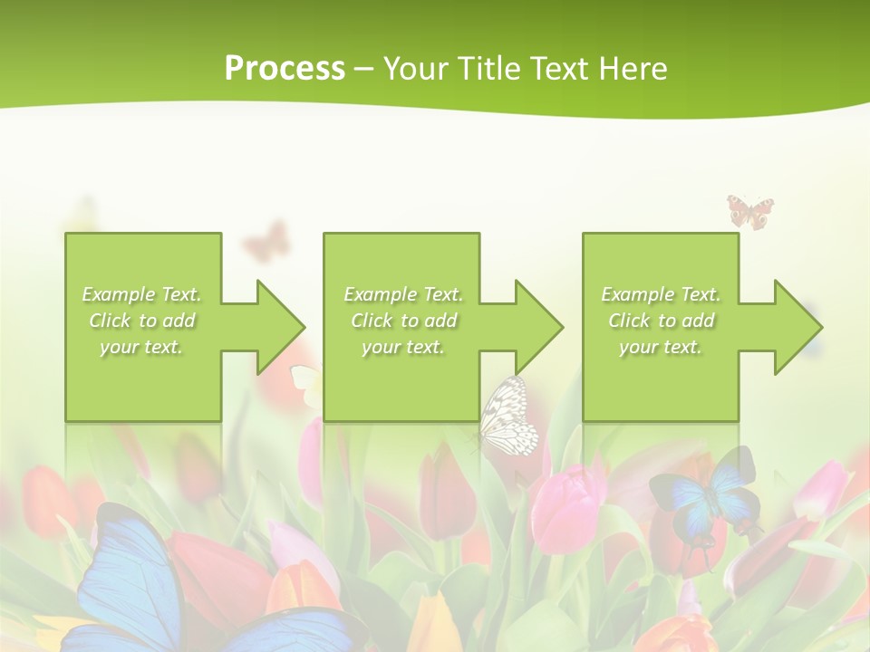 March Animal April Beauty Bloom Blossom Blur Bouquet Butterfly Butterfly PowerPoint Template