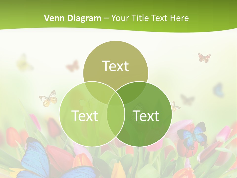 March Animal April Beauty Bloom Blossom Blur Bouquet Butterfly Butterfly PowerPoint Template