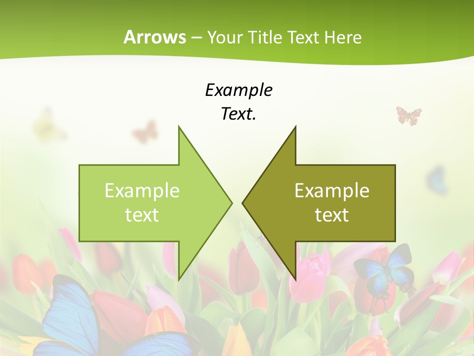 March Animal April Beauty Bloom Blossom Blur Bouquet Butterfly Butterfly PowerPoint Template