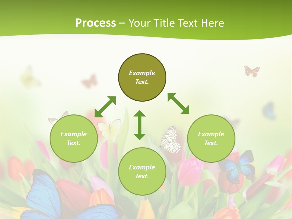 March Animal April Beauty Bloom Blossom Blur Bouquet Butterfly Butterfly PowerPoint Template