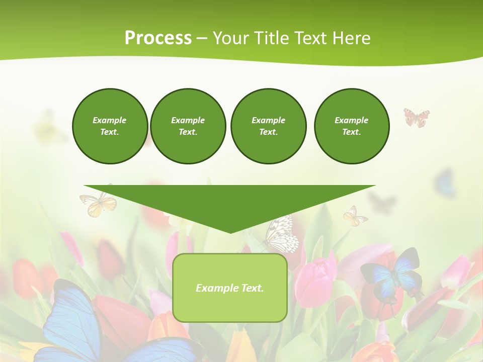 March Animal April Beauty Bloom Blossom Blur Bouquet Butterfly Butterfly PowerPoint Template