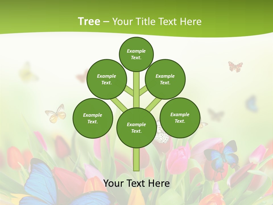 March Animal April Beauty Bloom Blossom Blur Bouquet Butterfly Butterfly PowerPoint Template