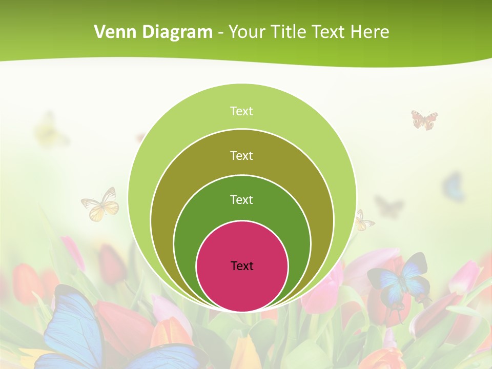 March Animal April Beauty Bloom Blossom Blur Bouquet Butterfly Butterfly PowerPoint Template