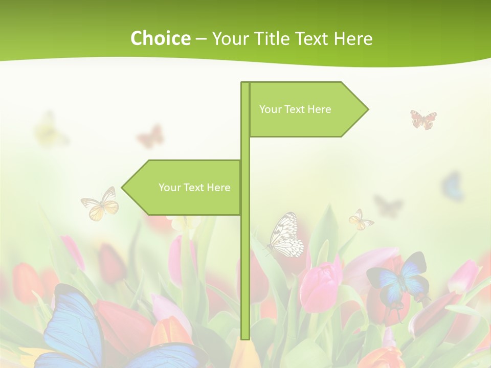 March Animal April Beauty Bloom Blossom Blur Bouquet Butterfly Butterfly PowerPoint Template