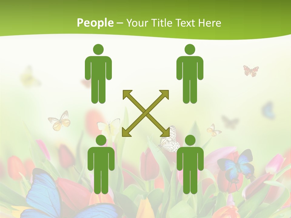 March Animal April Beauty Bloom Blossom Blur Bouquet Butterfly Butterfly PowerPoint Template