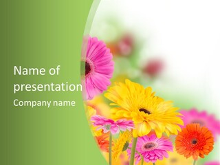 Pink Clipping Dew PowerPoint Template