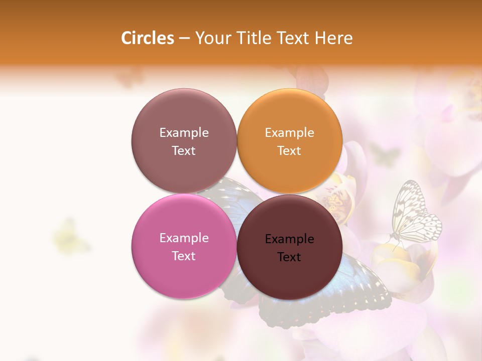 Phalaenopsis Border Vibrant PowerPoint Template
