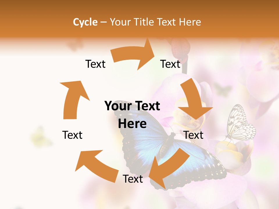 Phalaenopsis Border Vibrant PowerPoint Template