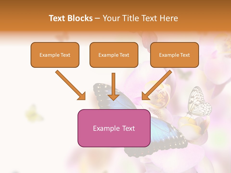 Phalaenopsis Border Vibrant PowerPoint Template