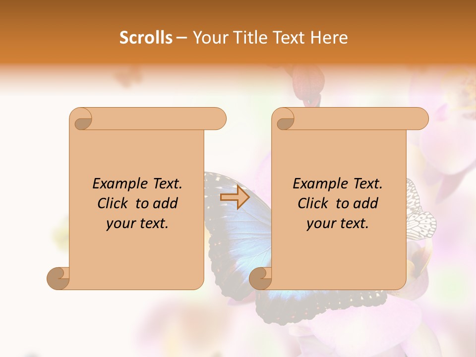 Phalaenopsis Border Vibrant PowerPoint Template