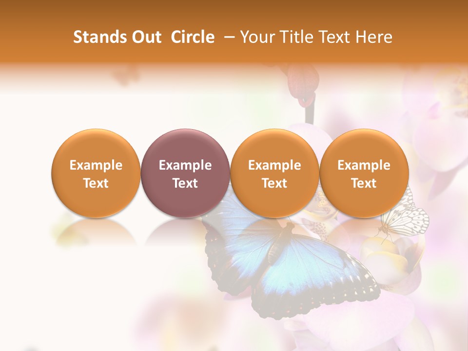 Phalaenopsis Border Vibrant PowerPoint Template