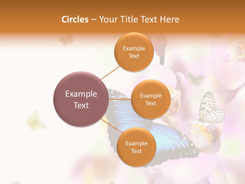 Phalaenopsis Border Vibrant PowerPoint Template