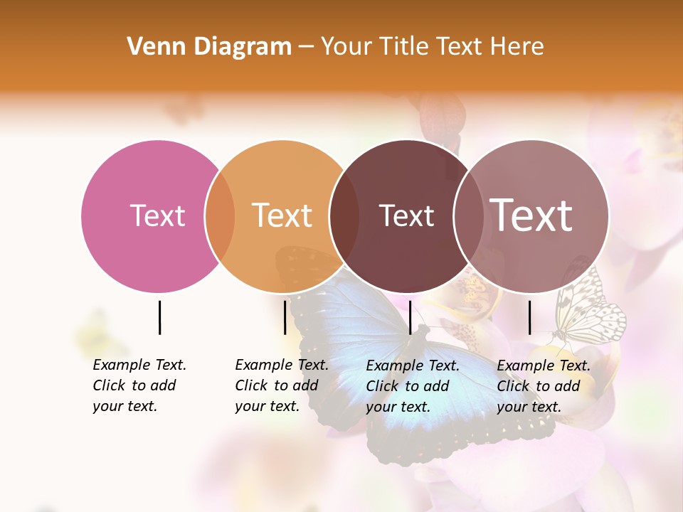 Phalaenopsis Border Vibrant PowerPoint Template